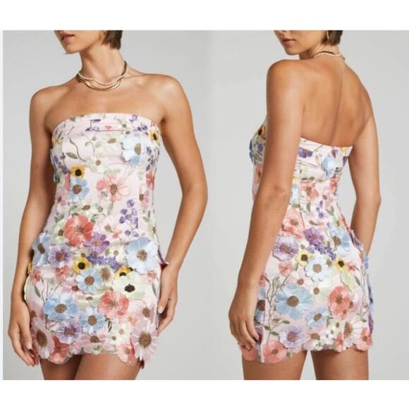 NWT Gigi & Ella Size 8 Medium Wren Pink Strapless 3D Garden Flowers Dress - Picture 1 of 9